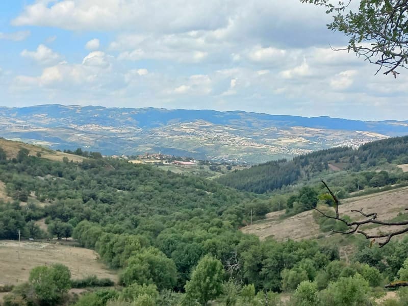 Boucle La Croix  du Mazet / Saint-Paul-en-Jarez - Saint-Paul-en-Jarez