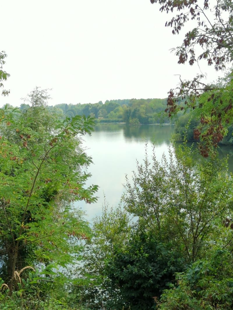 Autour de l'étang Chabaud Latour - Condé-sur-l'Escaut