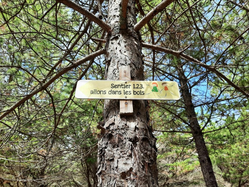 1 2 3 promenons nous dans les bois à Notre Dame des Monts - Notre-Dame-de-Monts