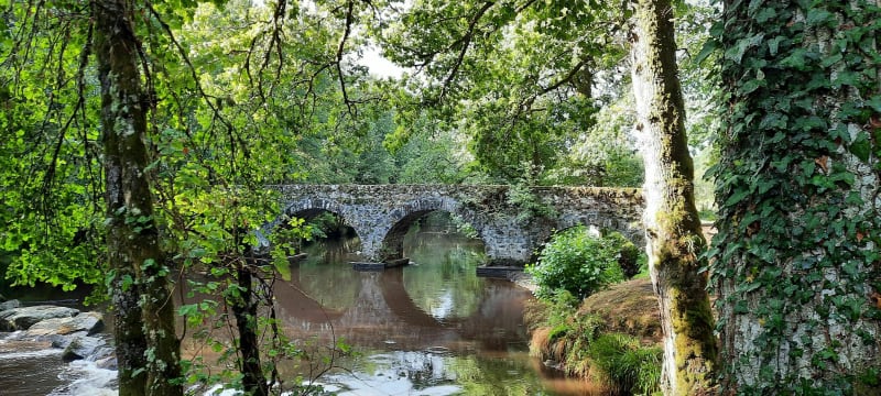 De Nedde au Vieux Pont - Nedde