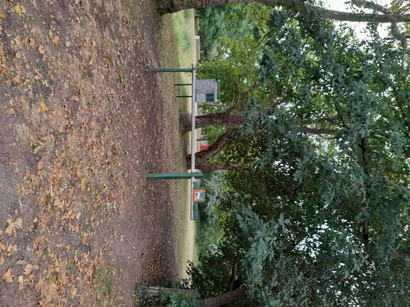 Randonnée aux Bois de la Brosse et bois de Languistre - Montluçon