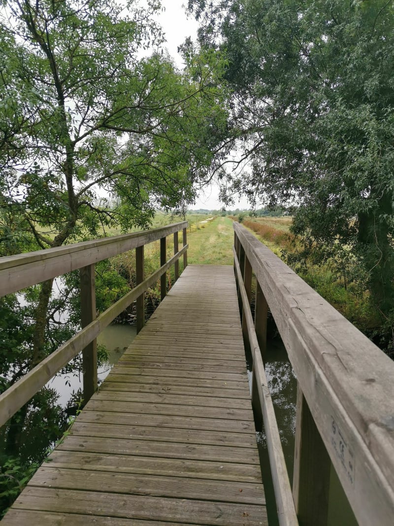 Sentier de l'Etang Bernard - Saint-Étienne-de-Montluc