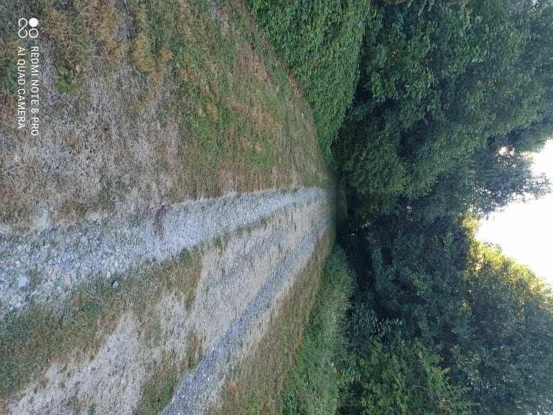 Balade matinale aux marais de Belzoise - Doingt