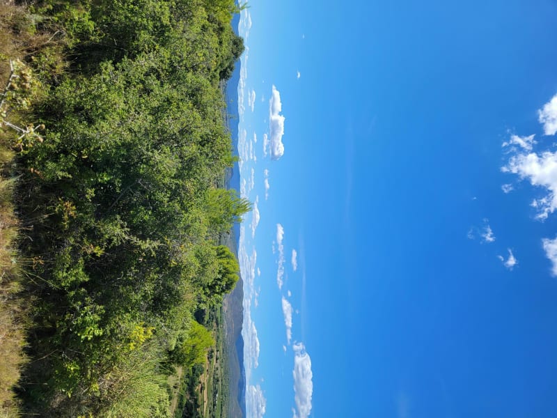 Chemin du puech - Murviel-lès-Béziers