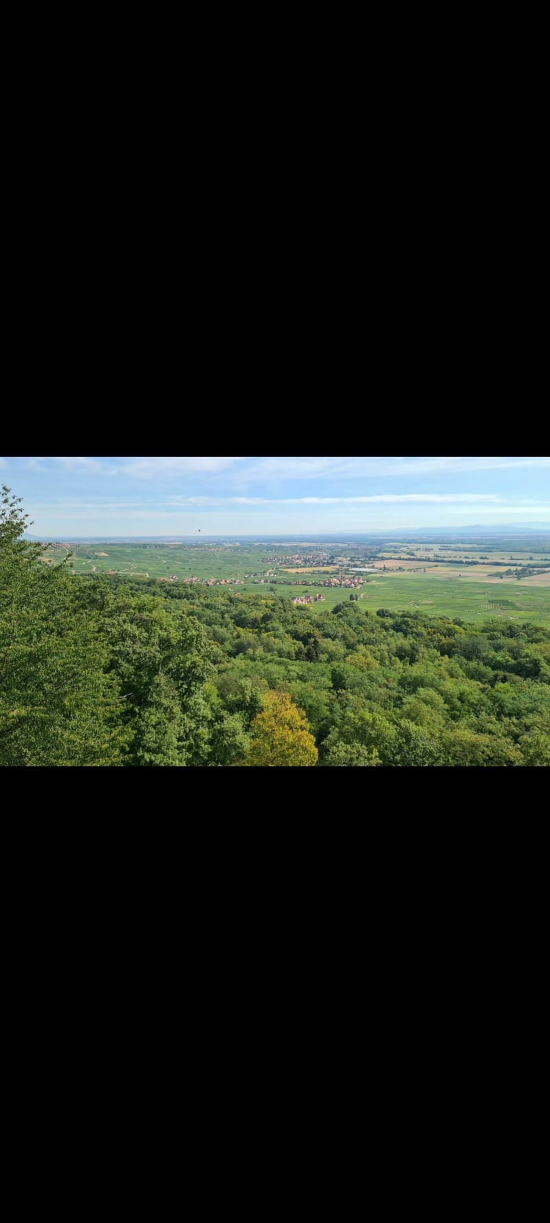 Randonnée ombragée autour de Gueberschwihr - Gueberschwihr