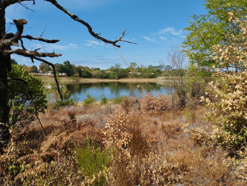 Montauban - Lac de piboulette - Montauban