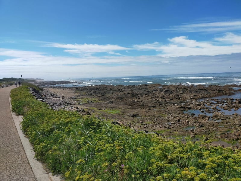 Côte sauvage de la Chaume et marais - Les Sables-d'Olonne