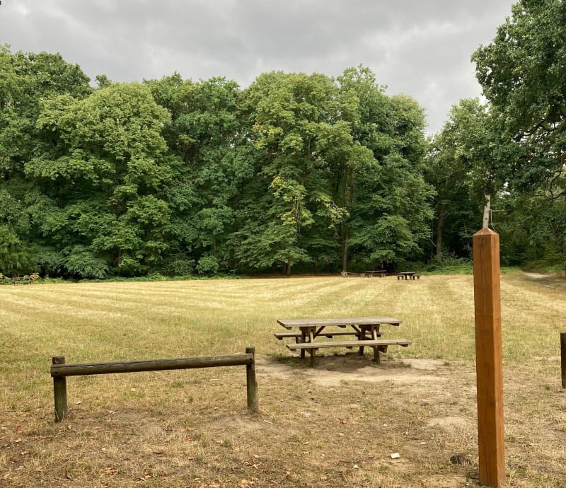 Traversée de la forêt de l’Isle-Adam - Nerville-la-Forêt