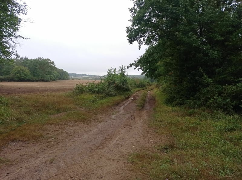 Parcours cœur - Rivarennes