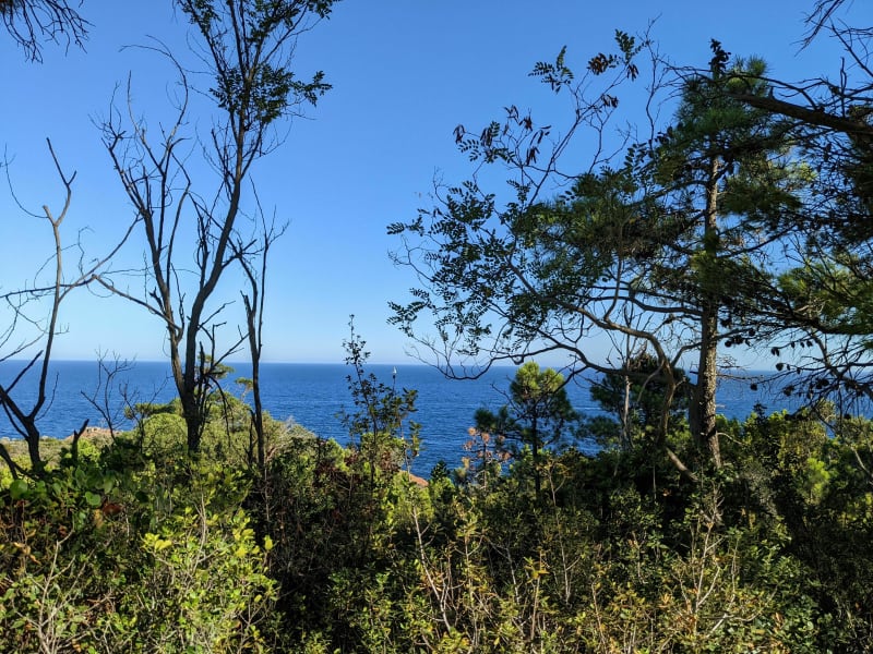 Sentier des senteurs du rocher Saint-Barthelemy - Saint-Raphaël