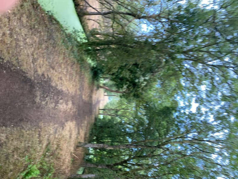 Training à Longeville : village - marais- forêt - village - Longeville-sur-Mer