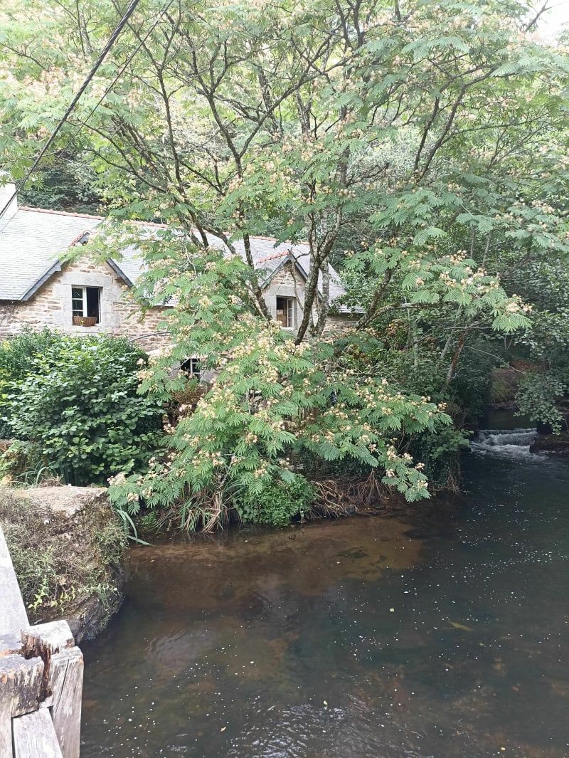 Pont-Aven, bois d'amour et chapelle de Tremalo - Pont-Aven