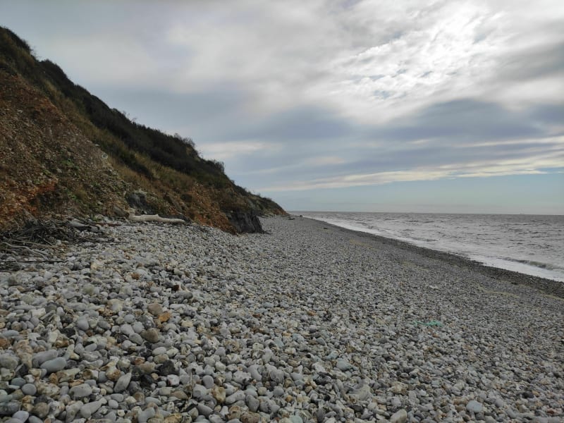 Boucle par la plage octeville - Octeville-sur-Mer