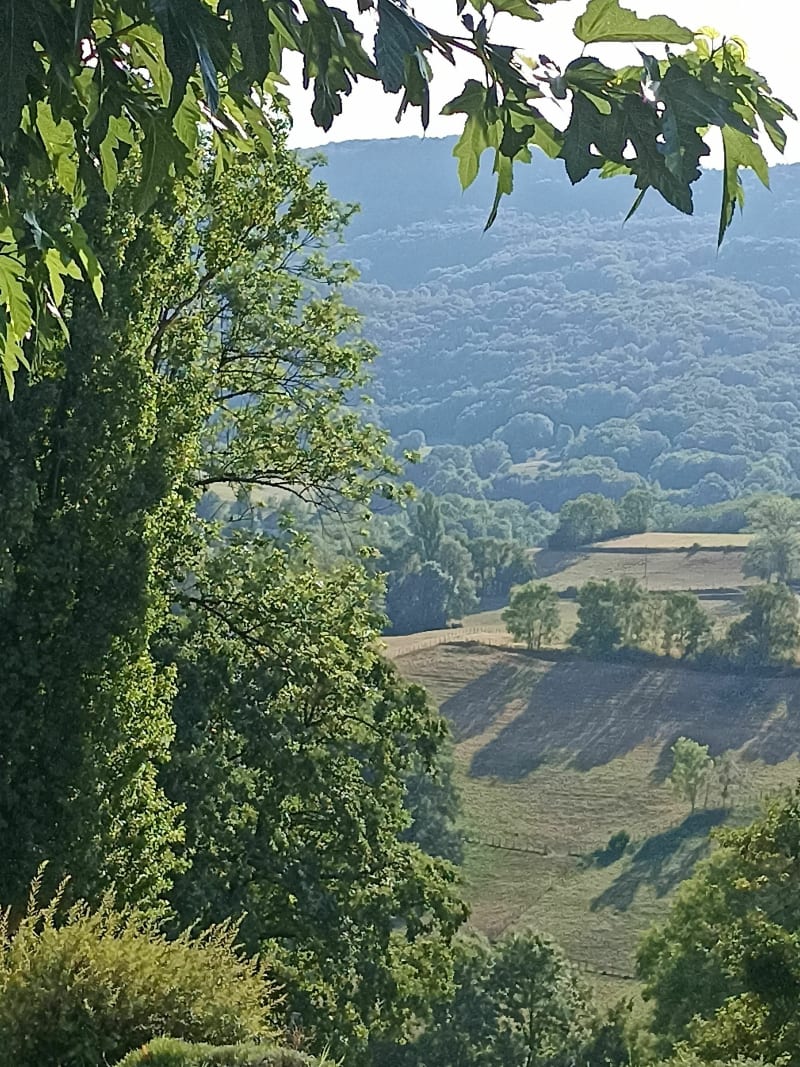 La croix du cimetière - Moye