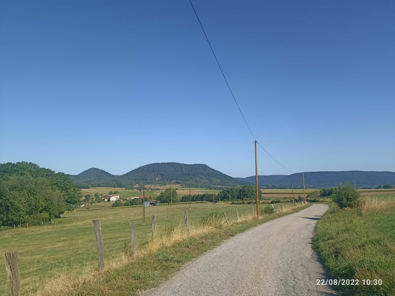 Sur les hauteurs de Condrieux - Corcieux