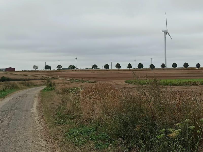 Balade dans la campagne de Saint Léger - Saint-Léger