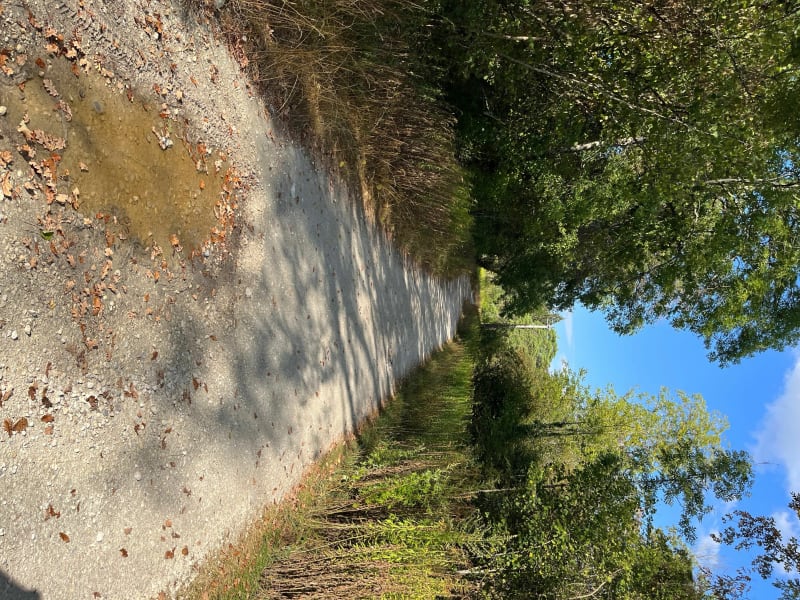 Le tour de Brassilly par le Bois des îles - Poisy