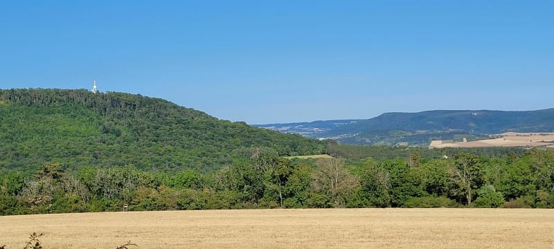 Randonnée principalement en sous bois. - Velars-sur-Ouche