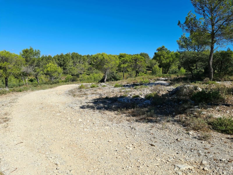 La nature de toute beauté en vtt - Tarascon