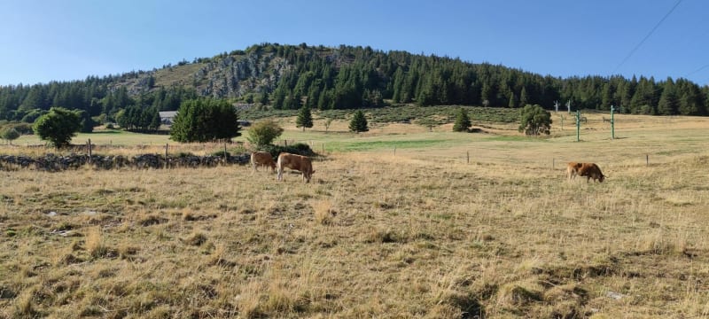 Tour du Mont d'Alambre - Les Estables