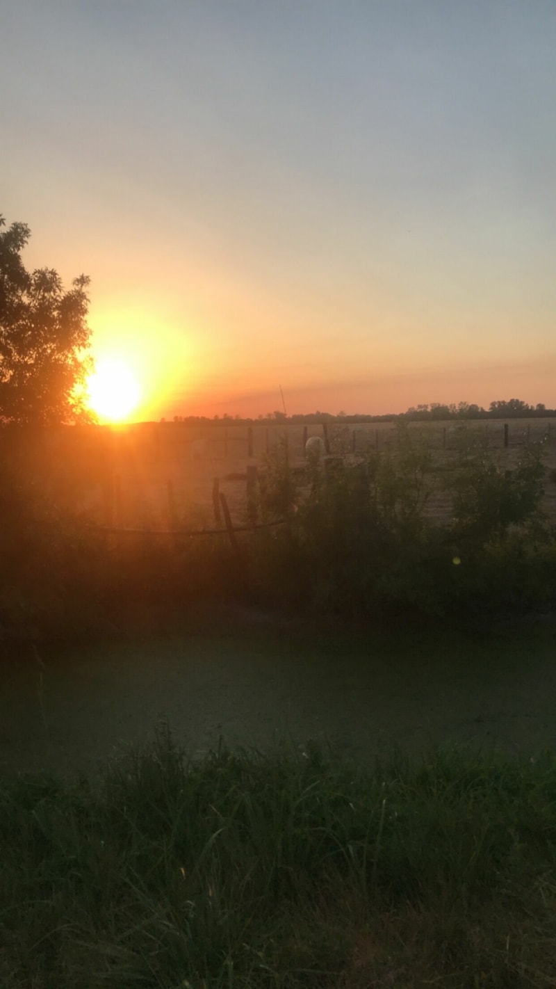 Balade Autour du communal - Les Velluire-sur-Vendée