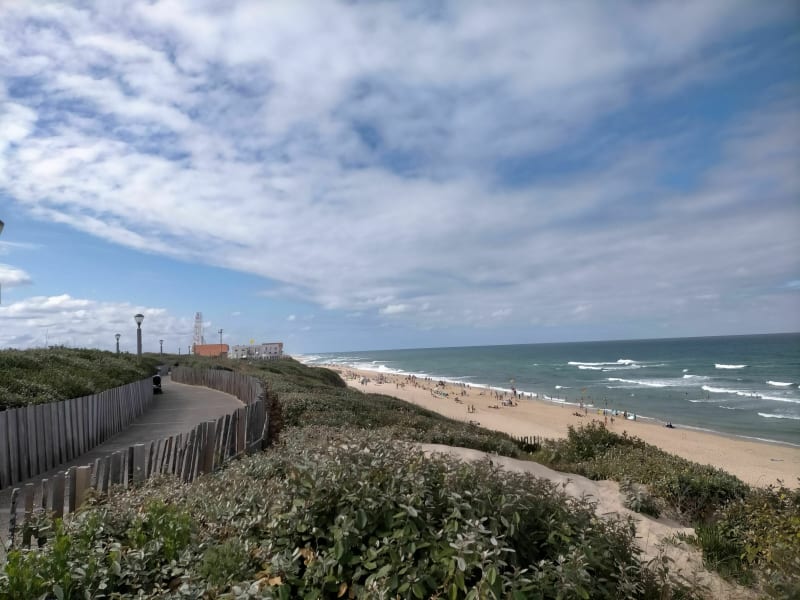 Belle balade autour de Biscarrosse plage - Biscarrosse