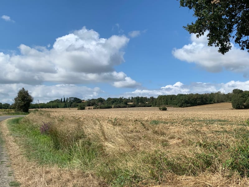 Autour du Lherm - Lherm
