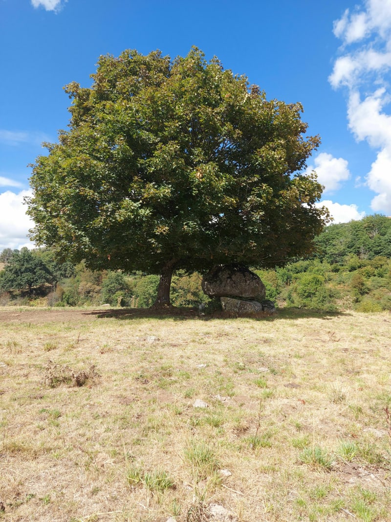Le dolmen de la Cousty - Riom-ès-Montagnes