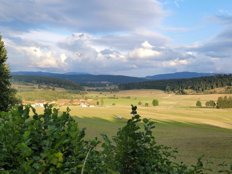 Belle randonnée en forêt au dessus de Vaux et Chantegrue - Vaux-et-Chantegrue