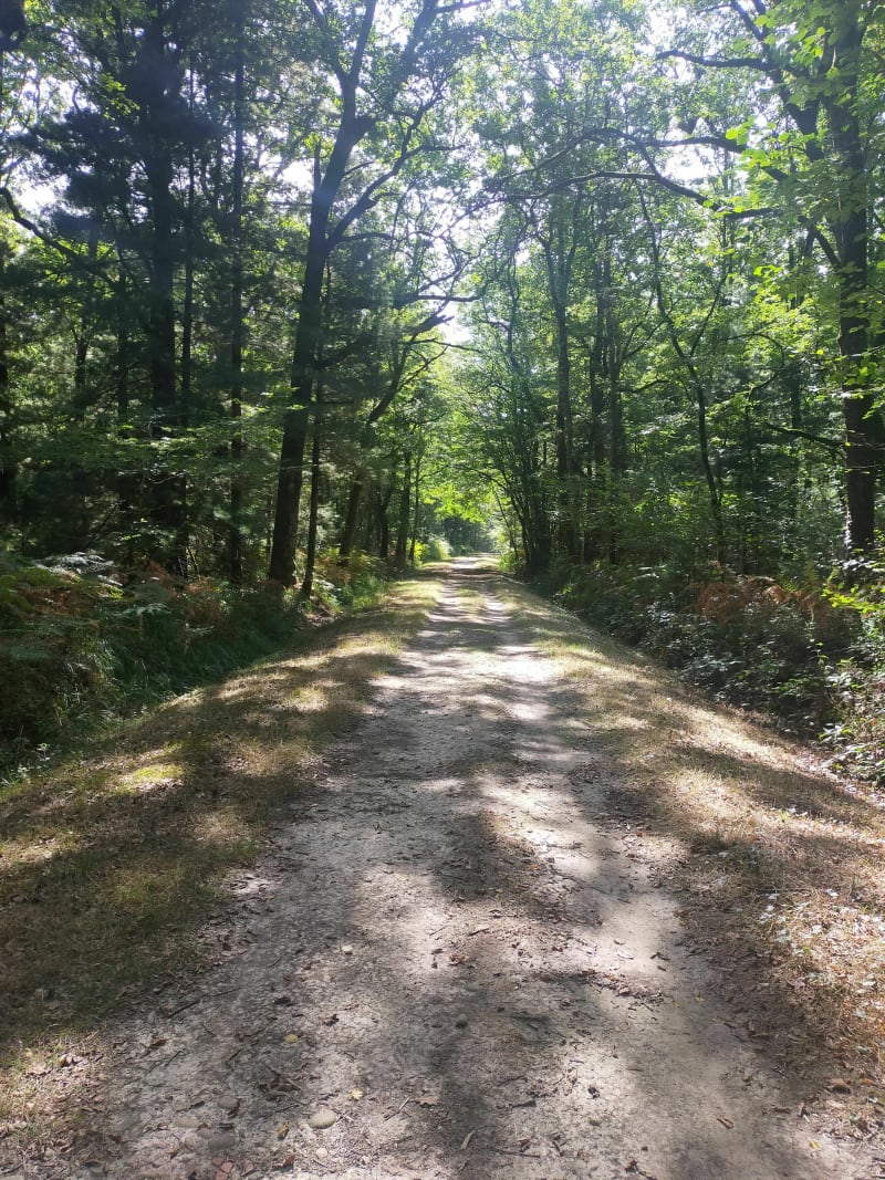 Balade entre Beny et St Etienne du bois - Bény
