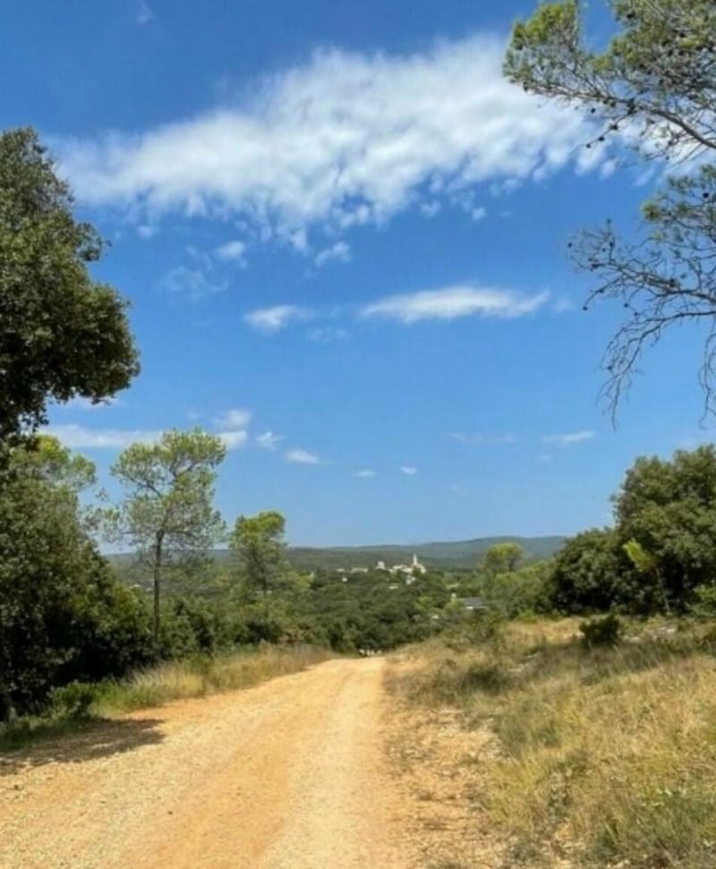 Grande boucle à VTT dans le Puech de l'Hérault - Saint-Gély-du-Fesc