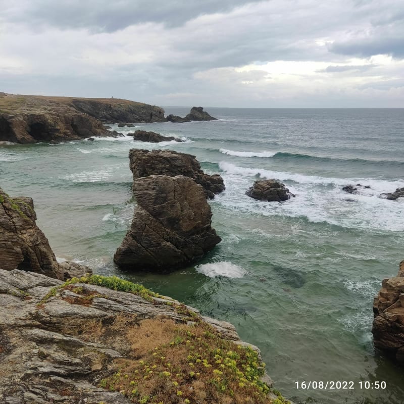 Entre lande et côte sauvage sur Quiberon - Quiberon