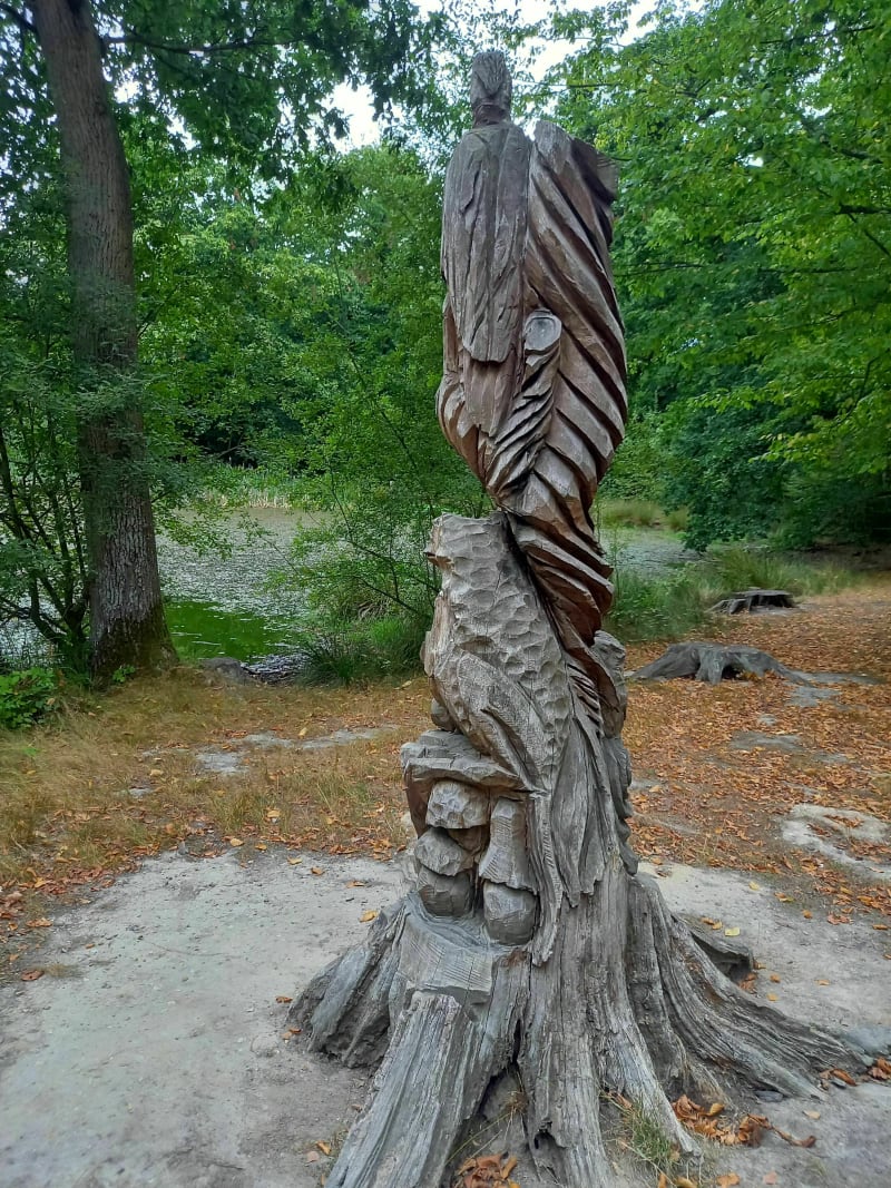 Autour de la Mare Asse - Saint-Pierre-lès-Elbeuf
