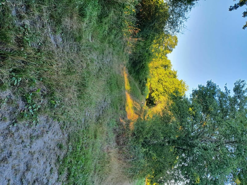 Balade à Lamotte - Lamotte-Beuvron