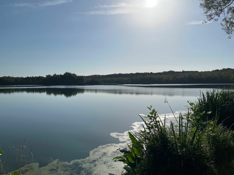Promenade autour de l’étang de chabaud latour - Condé-sur-l'Escaut
