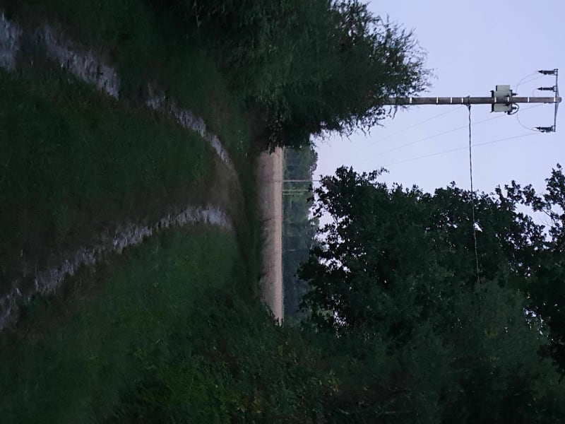 Balade entre nordique - Lamotte-Beuvron