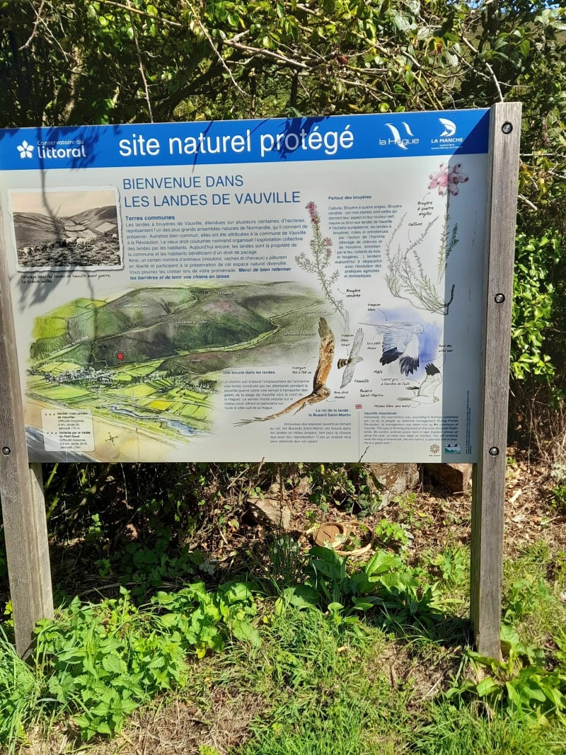 Les Landes de Vauville - La Hague
