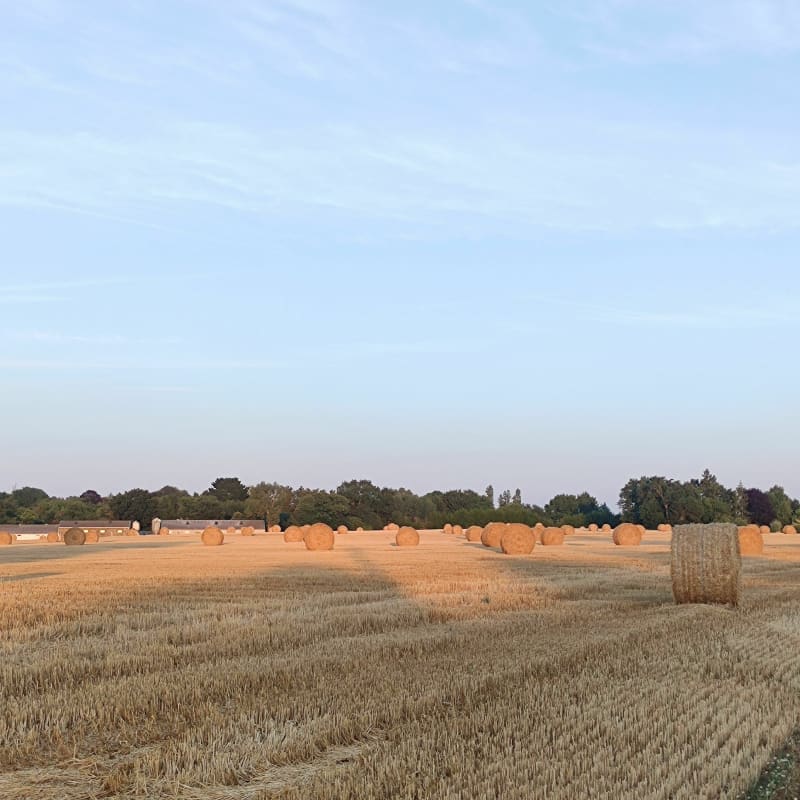 Saint Erblon et ses alentours - Saint-Erblon