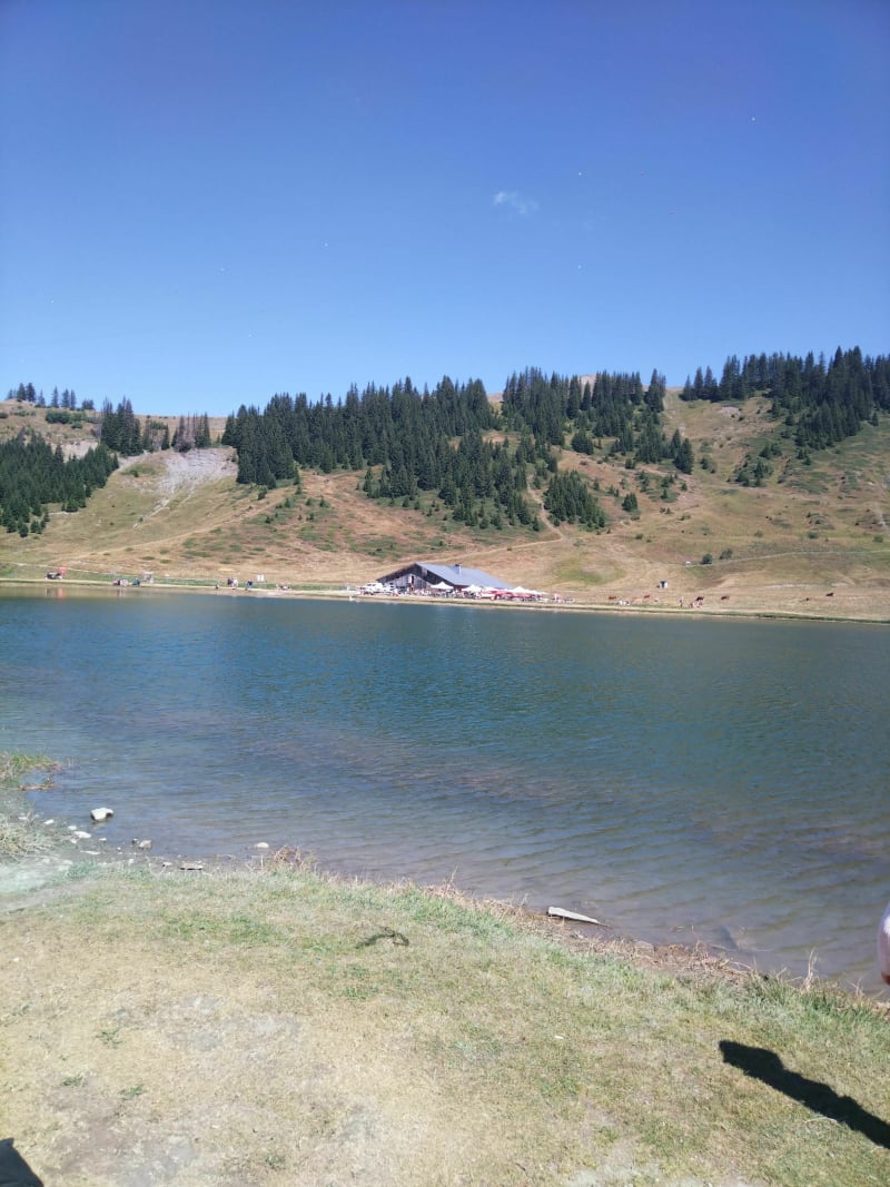 Visite et randonnée en famille autour du lac d'Airon - Les Carroz