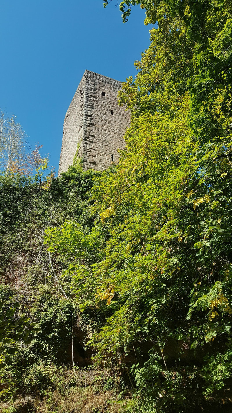 Balade à la Fontaine Mélanie et au château Greifenstein en passant par la grotte St-Vit - Saverne