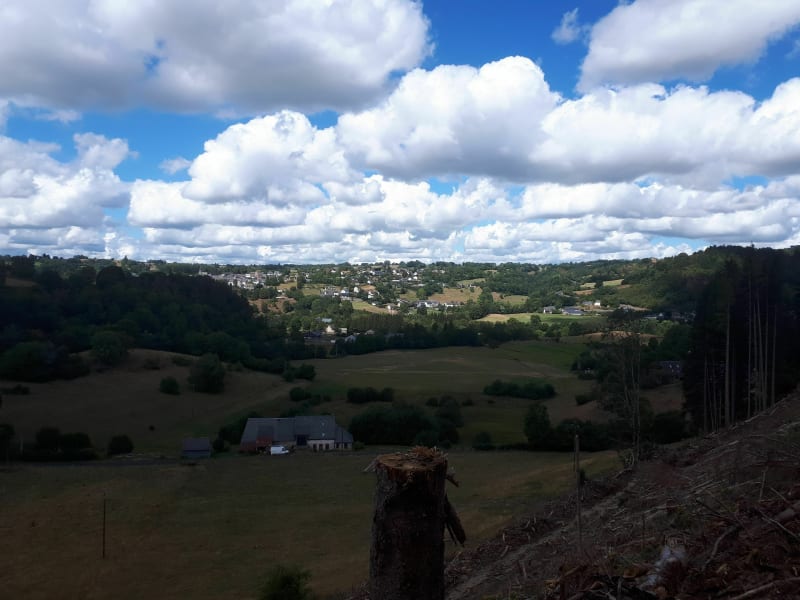 Chateauneuf-domaine de Fohet-la Grenouillère - Saint-Sauves-d'Auvergne