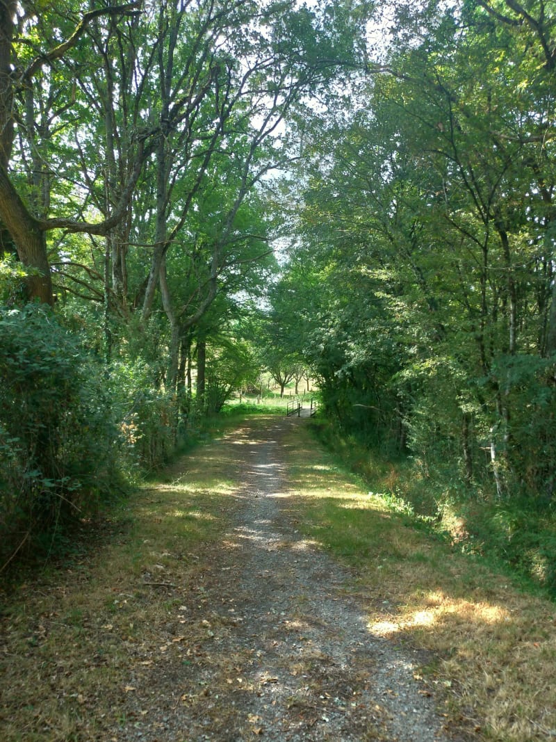 Ballade aux mûres - Mennetou-sur-Cher
