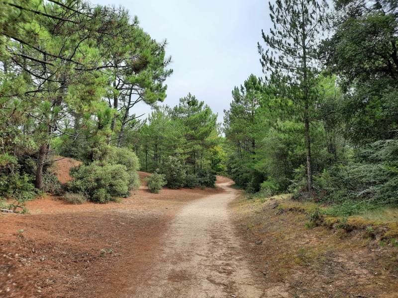Circuit bois, ville, plage - Saint-Jean-de-Monts