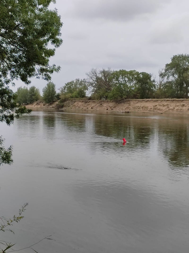 Bords de Loire et Prairie de None - Saumur
