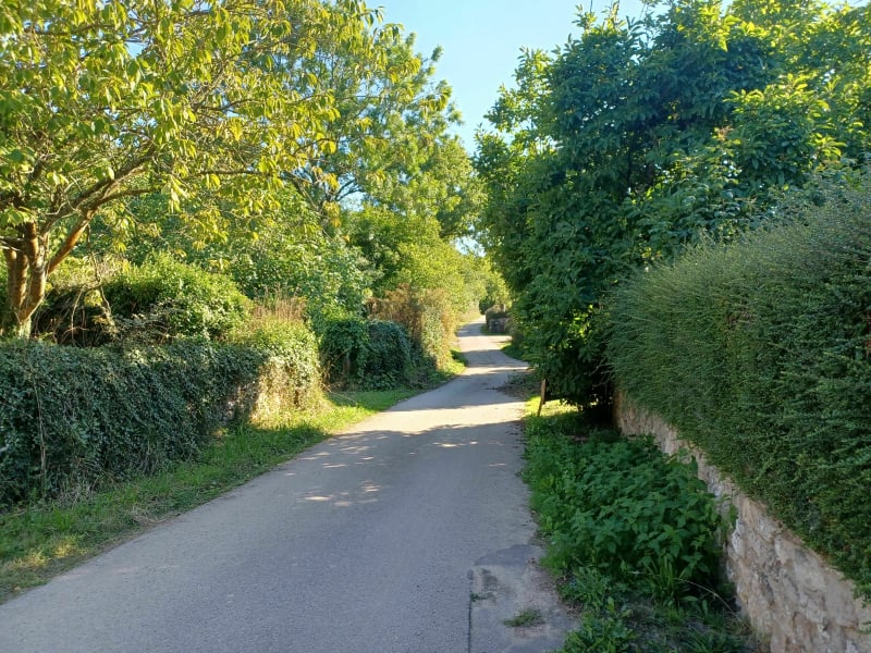 Tamerville - La croix de Pierre - Tamerville