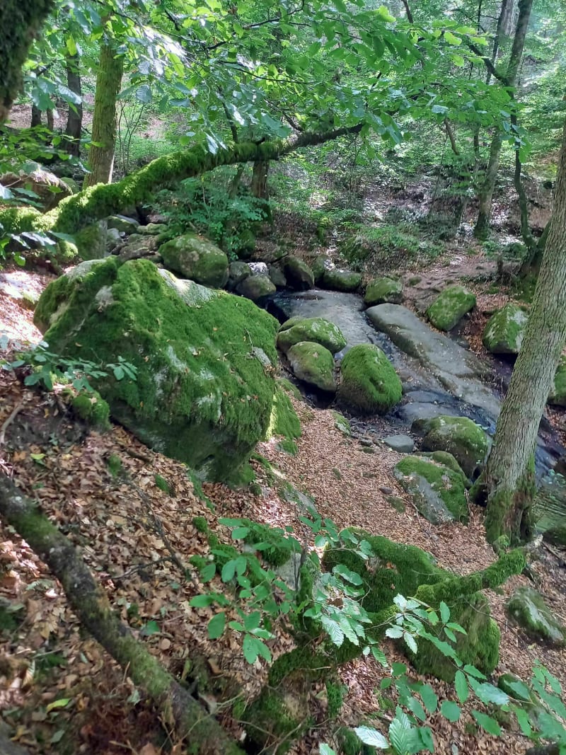 Cascade Brisecou - Autun