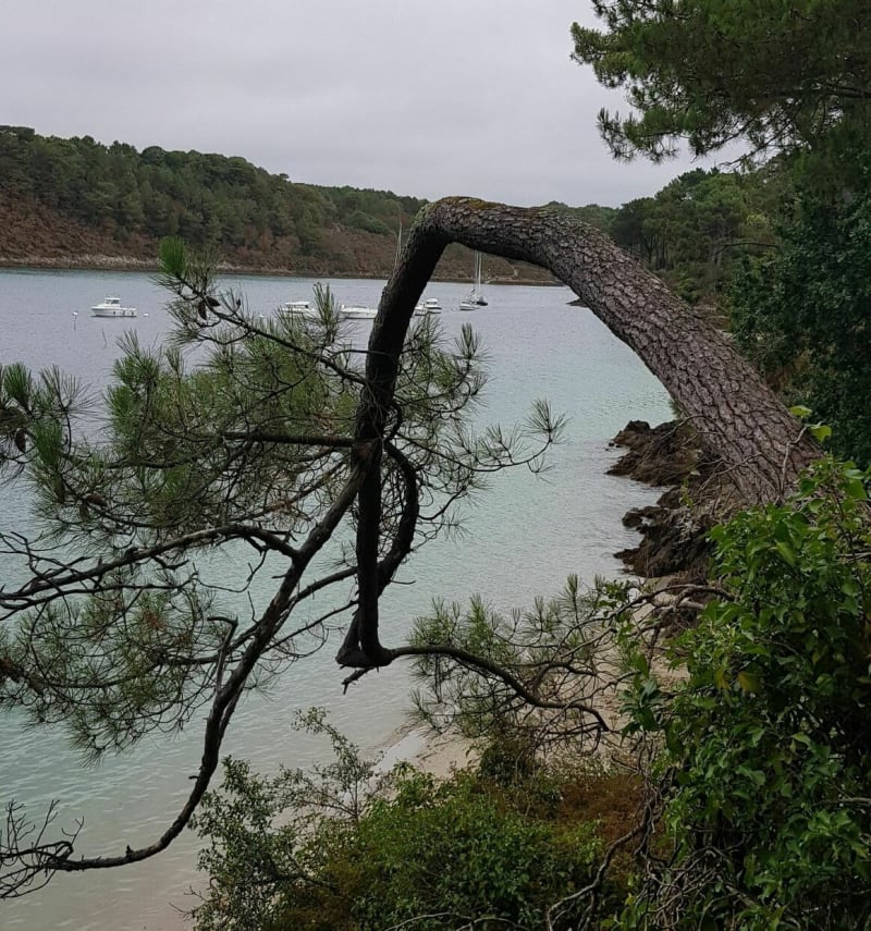 De la plage du Belon au port du Belon - Moëlan-sur-Mer
