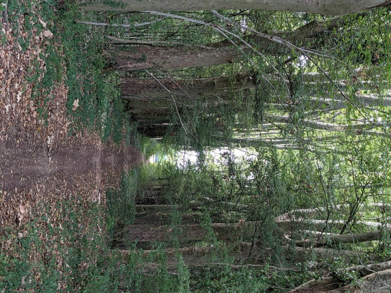 Balade par champs, bois et canal - Longecourt-en-Plaine