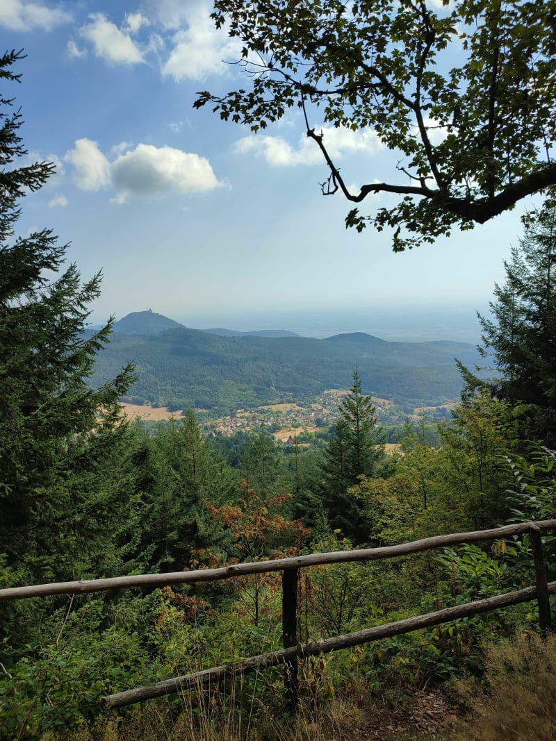 Autour de Thannenkirch à VTT - Ribeauvillé