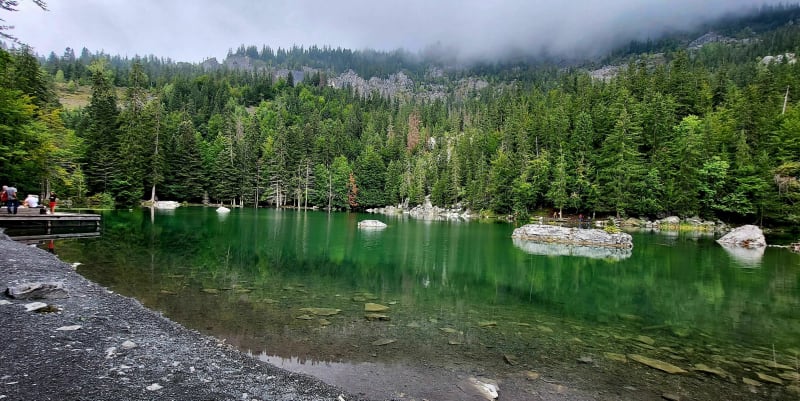 Himalaya-voetgangersbrug van Passy, Lac Vert en Plaine Joux - Passy